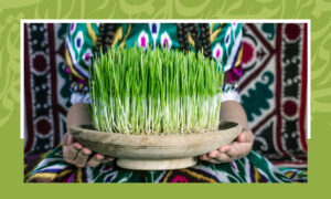 یادداشت برای کتاب  نوروز