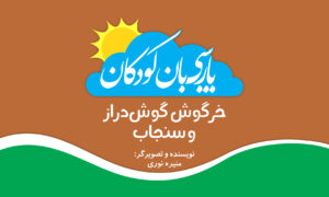 خرگوش گوش‌دراز و سنجاب
